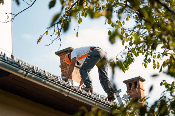 Best Sheet Metal Roofing  in New Franklin, MO
