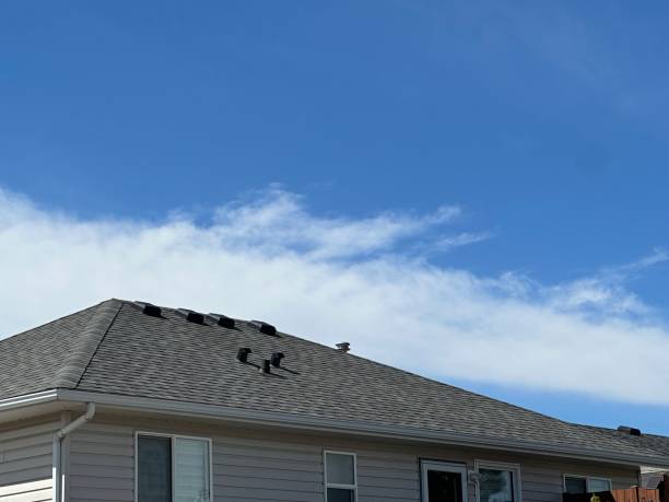 Best Storm Damage Roof Repair  in New Franklin, MO
